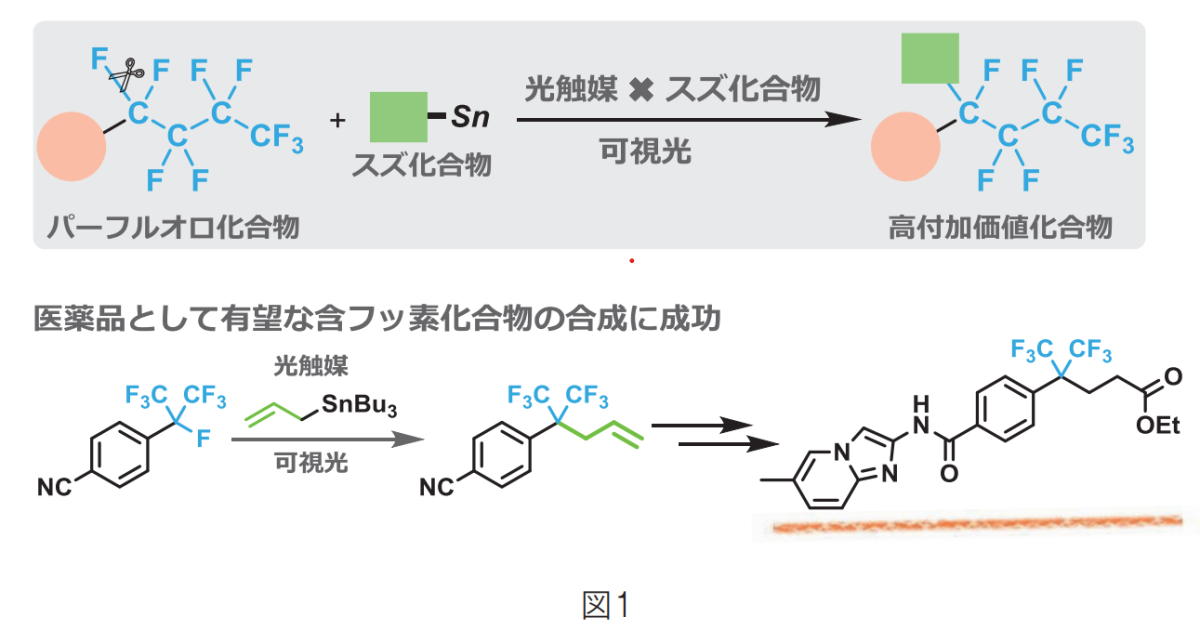 光触媒とスズ化合物の協働による炭素－フッ素結合の変換反応を用いたパーフルオロアルキル化合物の高付加価値化 (Functionalization of  perfluoroalkyl compounds by photocatalyst/ organostannanes mediated C–F  bond activation) | 大阪大学×SDGs