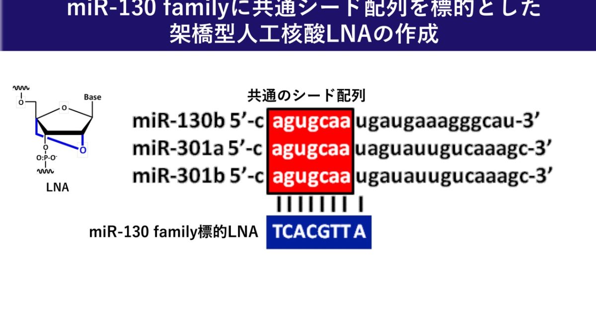 miRNA を標的とした癌治療薬剤の開発 | 大阪大学×SDGs