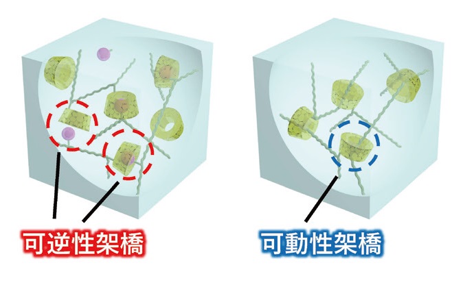 超分子を利用した強靭な自己修復性高分子材料 | 大阪大学×SDGs
